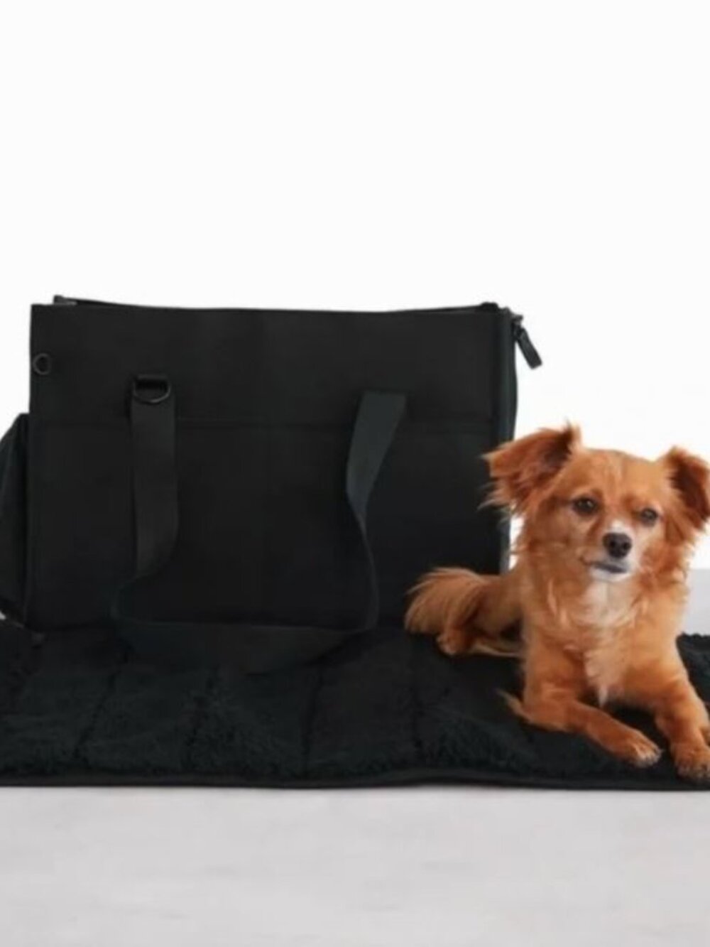 Beis Daily pet carrier